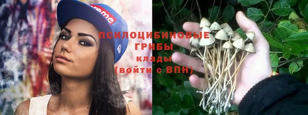 скорость Алзамай