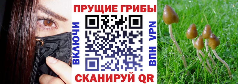 Псилоцибиновые грибы мухоморы  Осташков 